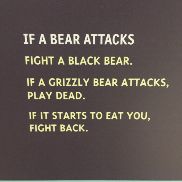 2019-07-12 07-50th-anniversary-cruise-Seward-to-Anchorage-42-if-a-bear-attacks.JPG